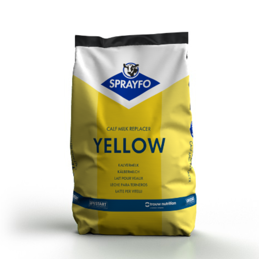 Sprayfo GialloSacco 25kg