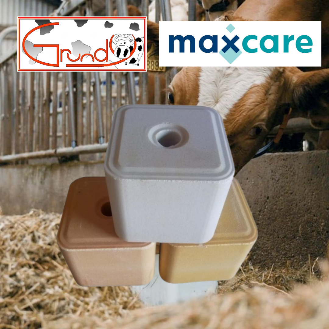 Maxcare Block Gold SScatola 2 blocchi-10kg