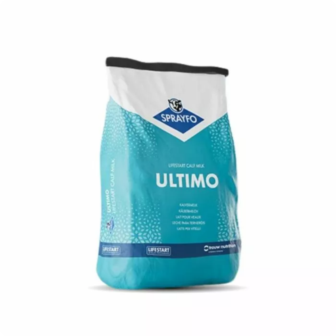 Sprayfo UltimoSacco 25kg